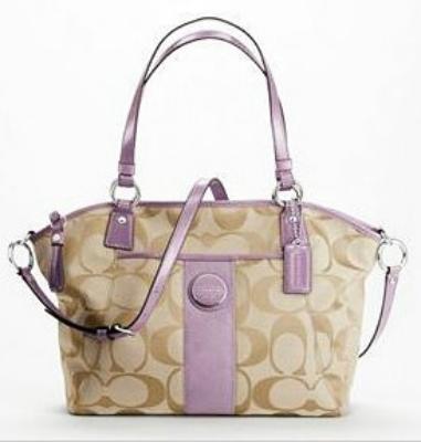 discount coach bags - 17948 purple/coffee